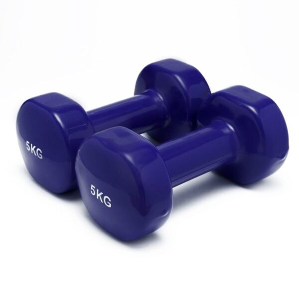 Vinyl Dipping Dumbbells 5kg - Ir92005